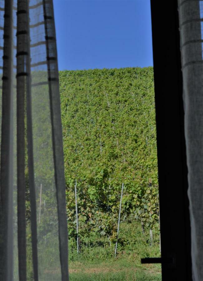 Vitae Di Langa Grinzane Cavour Exterior photo