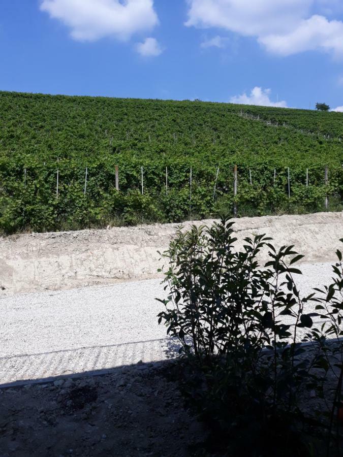 Vitae Di Langa Grinzane Cavour Exterior photo